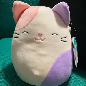 Squishmallow Carlota 8” cat plushy